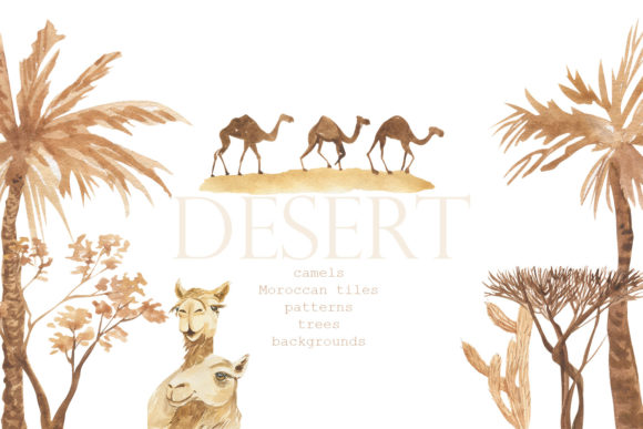 Desert Watercolor Poster Set Review
