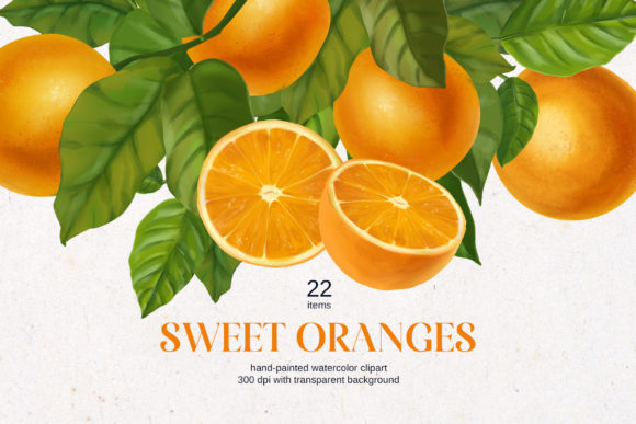 h1Watercolor Oranges & Citrus Fruits Illustrations for Lifestyle Bloggingh1