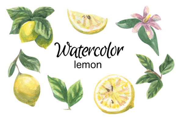 Lemon Watercolor Clip Art Adds Fresh Illustrations to Blog Design