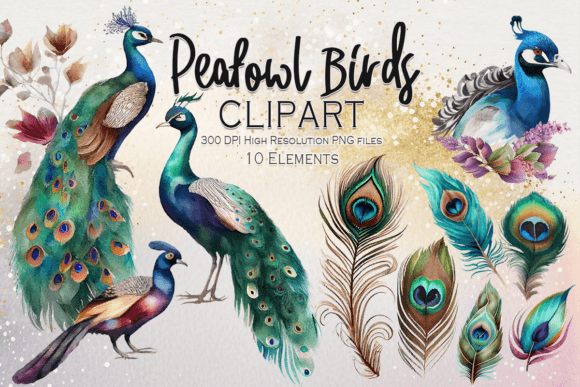 Peacock Peafowl Watercolor Clipart for Crafting & Handmade Business Use