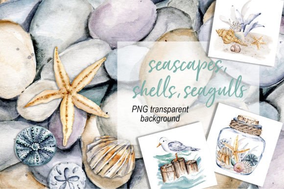 Shells, Beach Watercolor Set: A Designer’s Honest Review for Real Client Projects