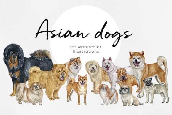 Watercolor 12 Asian Dog Breeds Illustrations for Digital Sellers
