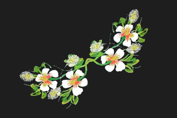 Watercolor Botanical Flowers Clipart Review for Real Embroidery Use