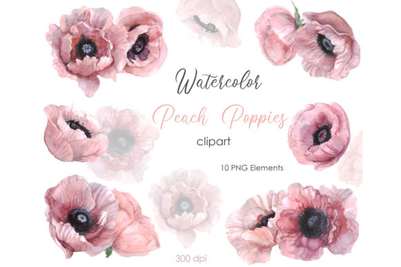 Watercolor Clipart: Floral Poppy Flower Adds Handmade Charm to Local Branding