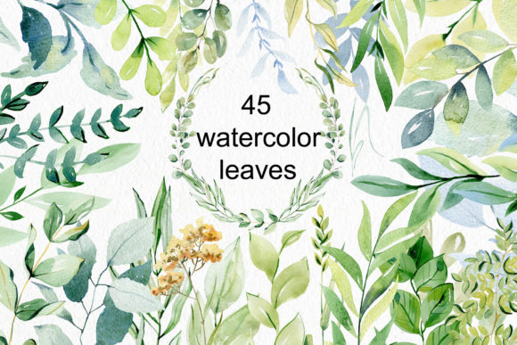 Watercolor Leaves Clipart: A Fresh Touch for Local Branding and Packaging
