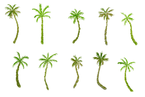 Watercolor Palm Tree PNG: A Designer’s Real-World Review